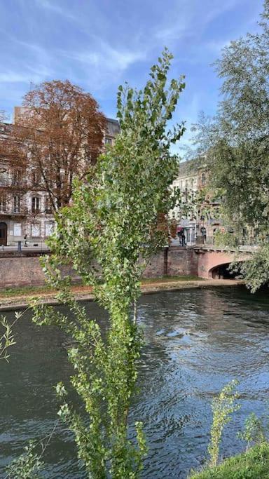 Appartement 2 Chambres Au Coeur De Strasbourg Exterior foto